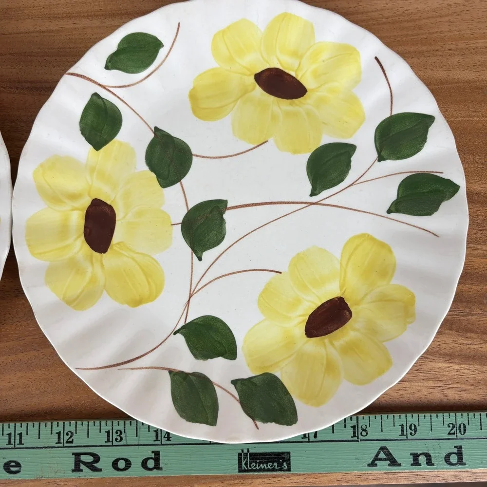 Set of 2 Vintage Blue Ridge Southern Potteries Hand Painted Yellow Floral Plates